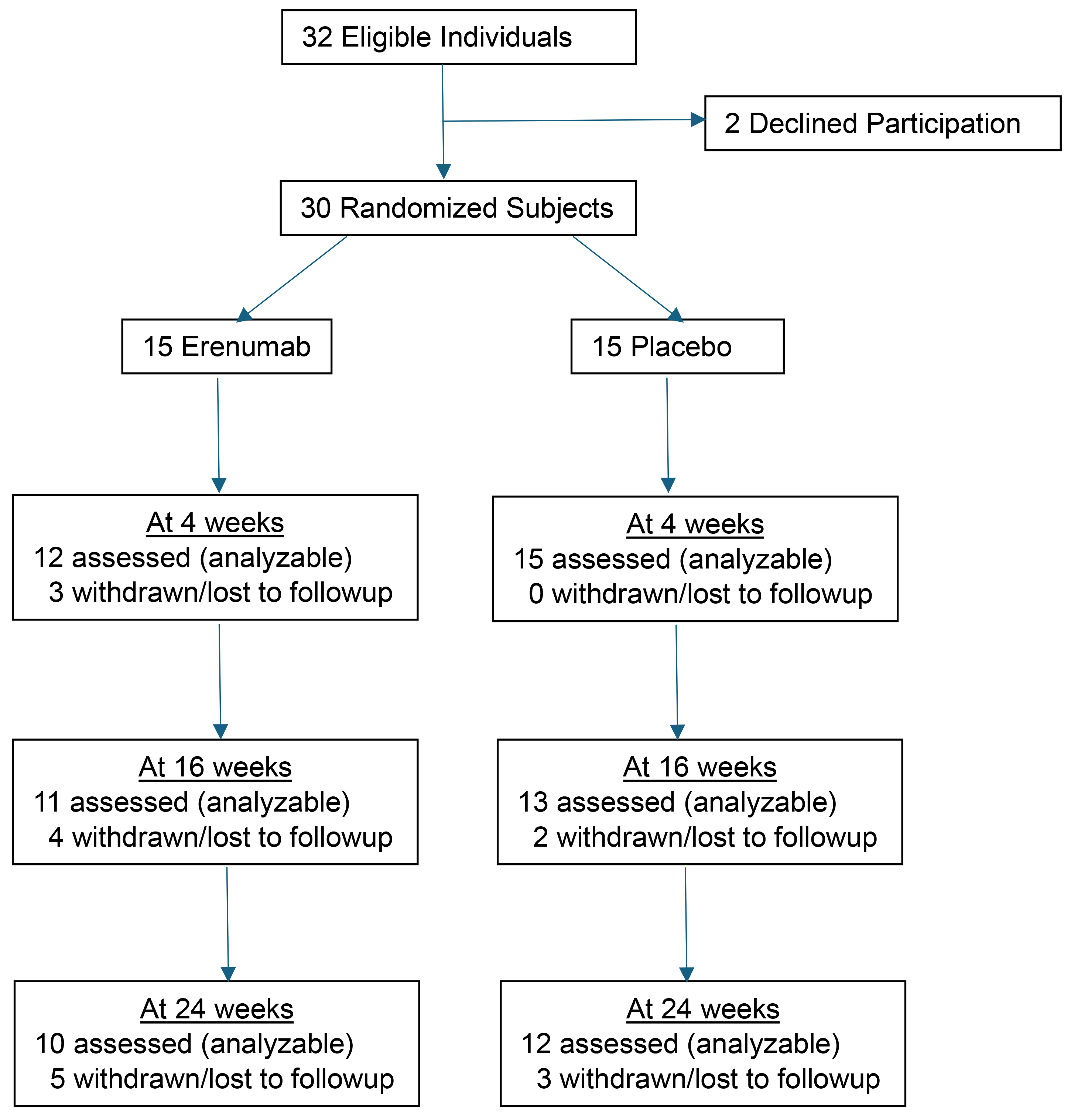 Participant flow in the randomized trial.