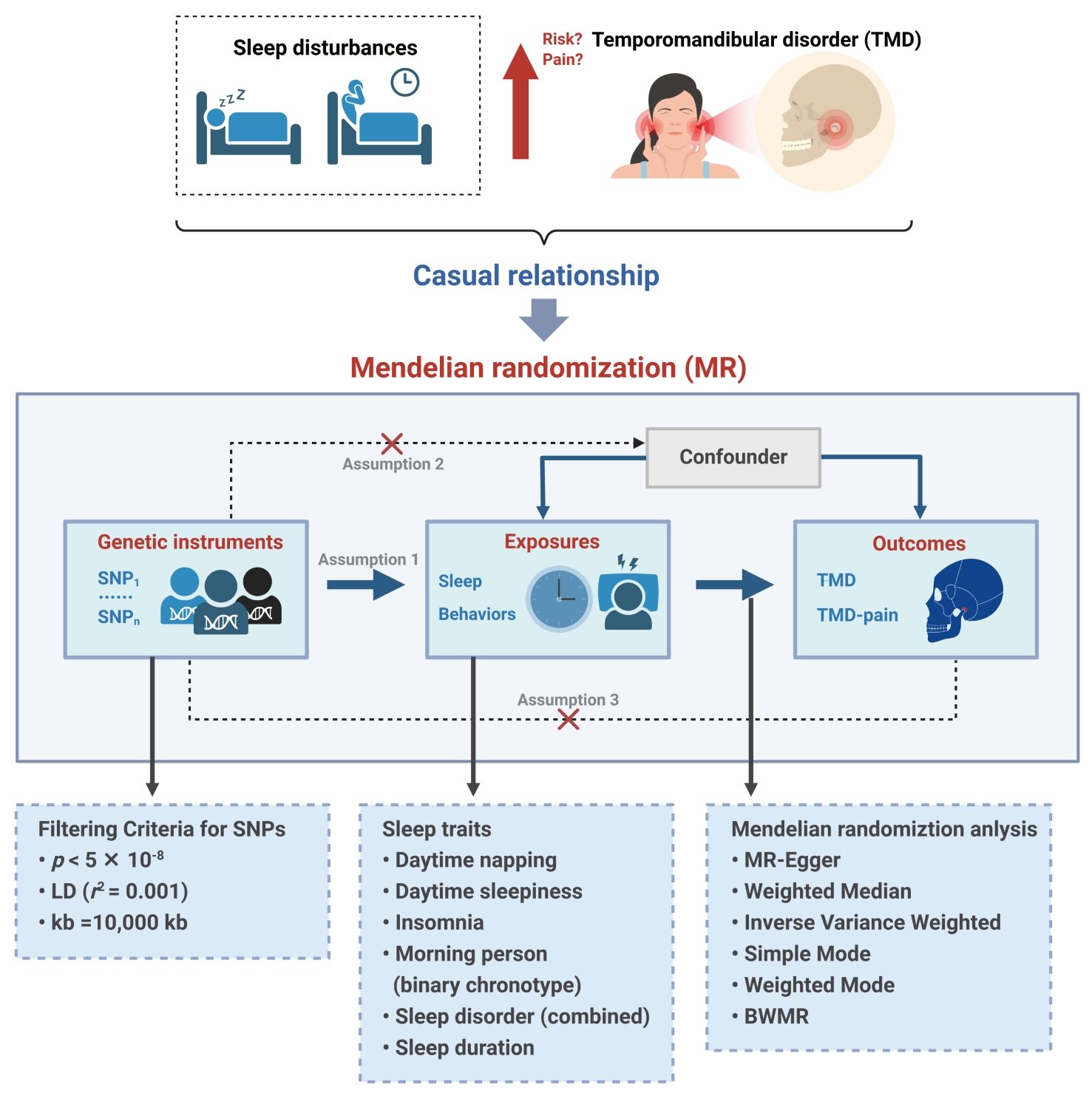 Schematic diagram of causal inferences between sleep behaviors 
and TMD/TMD-pain. LD: linkage disequilibrium; BWMR: Bayesian Weighted Mendelian 
Randomization; TMD-pain: TMD related pain; SNP: single nucleotide 
polymorphism.