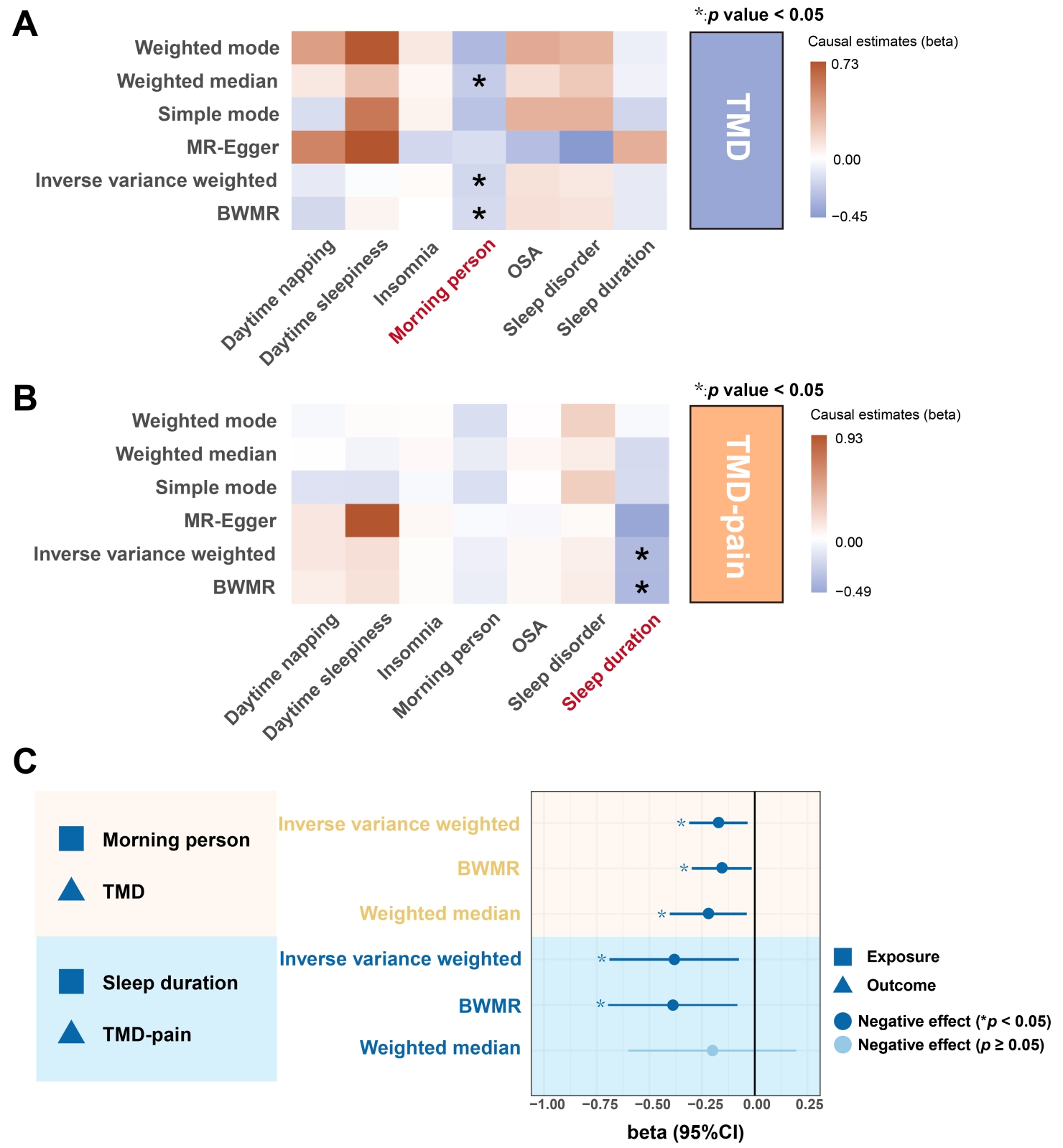 Causal effects of sleep behaviors on TMD and TMD-pain. (A) Heatmap illustrating the causal effects of genetically predicted sleep behaviors on 
TMD across different MR methods. (B) Heatmap illustrating the causal effect of 
sleep characteristics on TMD-pain. Heatmap illustrating the causal effects of 
genetically predicted sleep behaviors on TMD-pain across different MR methods. 
Sleep behaviors that showed significant associations with TMD or TMD-pain (IVW 
p < 0.05) are labeled in red. (C) Forest plot of MR estimates (IVW 
p < 0.05) for the causal effect of sleep behaviors on TMD and 
TMD-pain. MR: Mendelian randomization; BWMR: Bayesian Weighted Mendelian 
Randomization; OSA: obstructive sleep apnea; TMD: Temporomandibular disorder; 
TMD-pain: TMD related pain; CI: confidence interval.