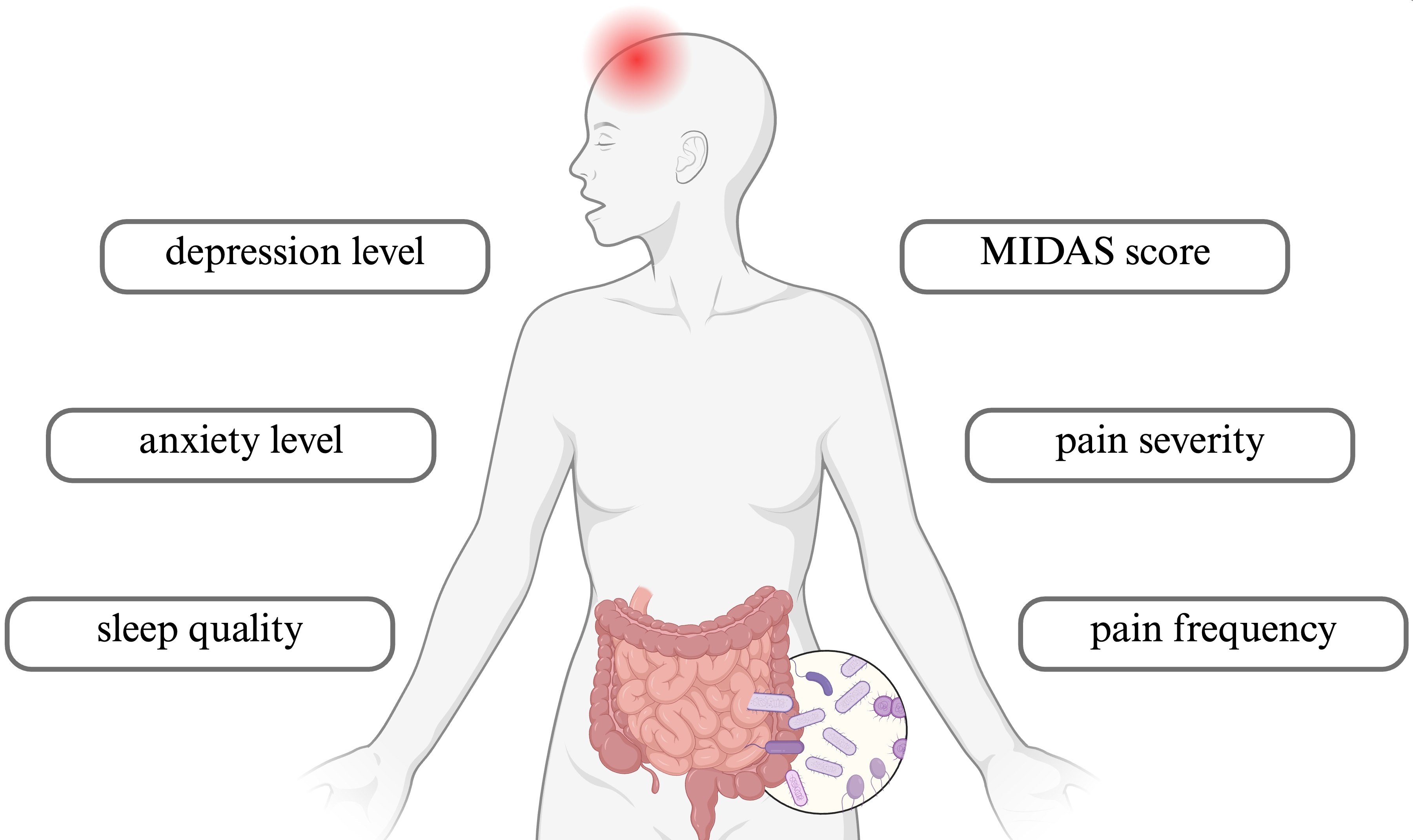 A graphical summary of the aspects influenced by
microbiota alterations in migraine patients. MIDAS, migraine disability scale (a
scale assessing headache-related disability over the last three months).