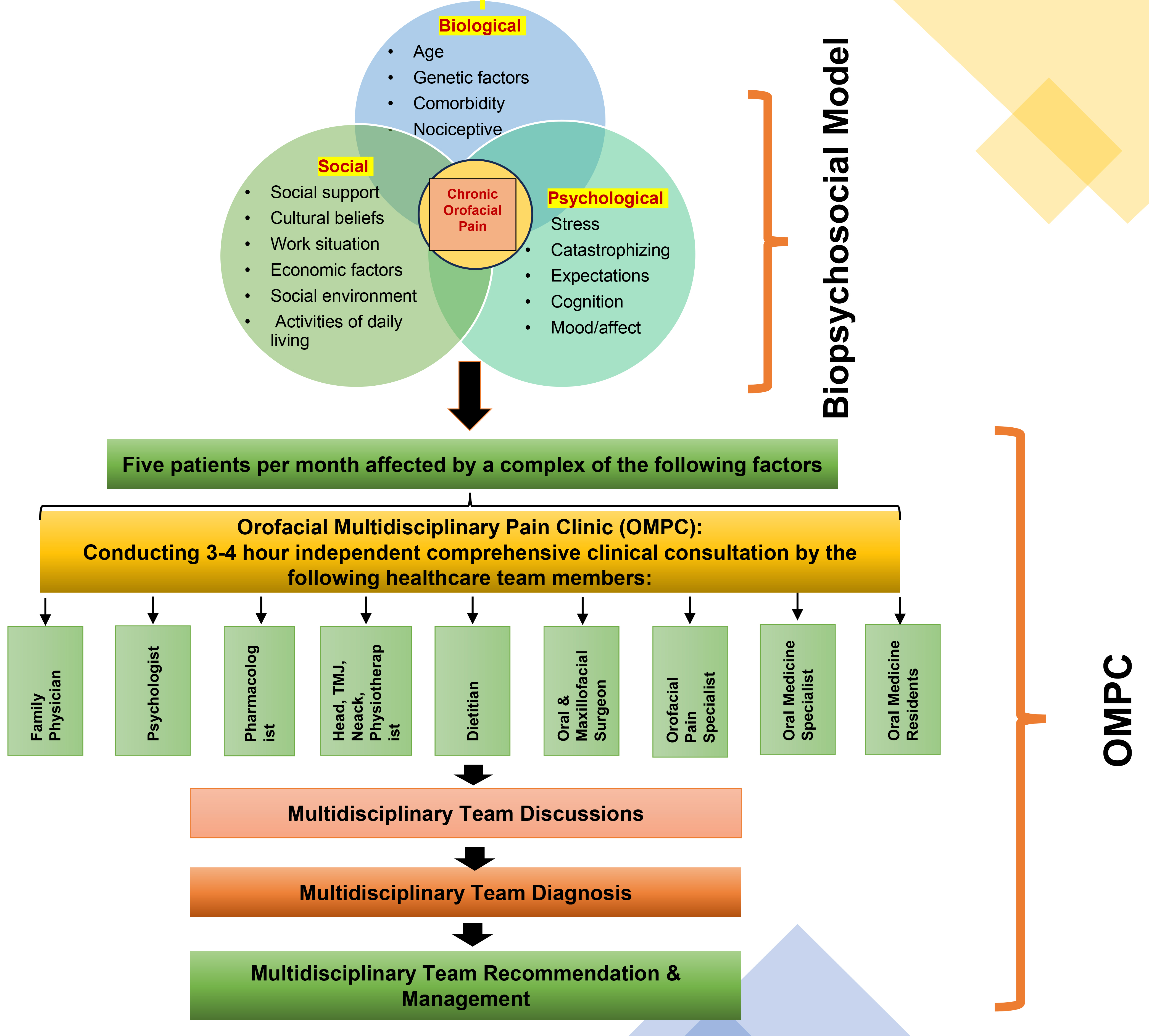 Biopsychosocial chronic orofacial multidisciplinary pain clinic
flowchart. TMJ: temporomandibular joint.