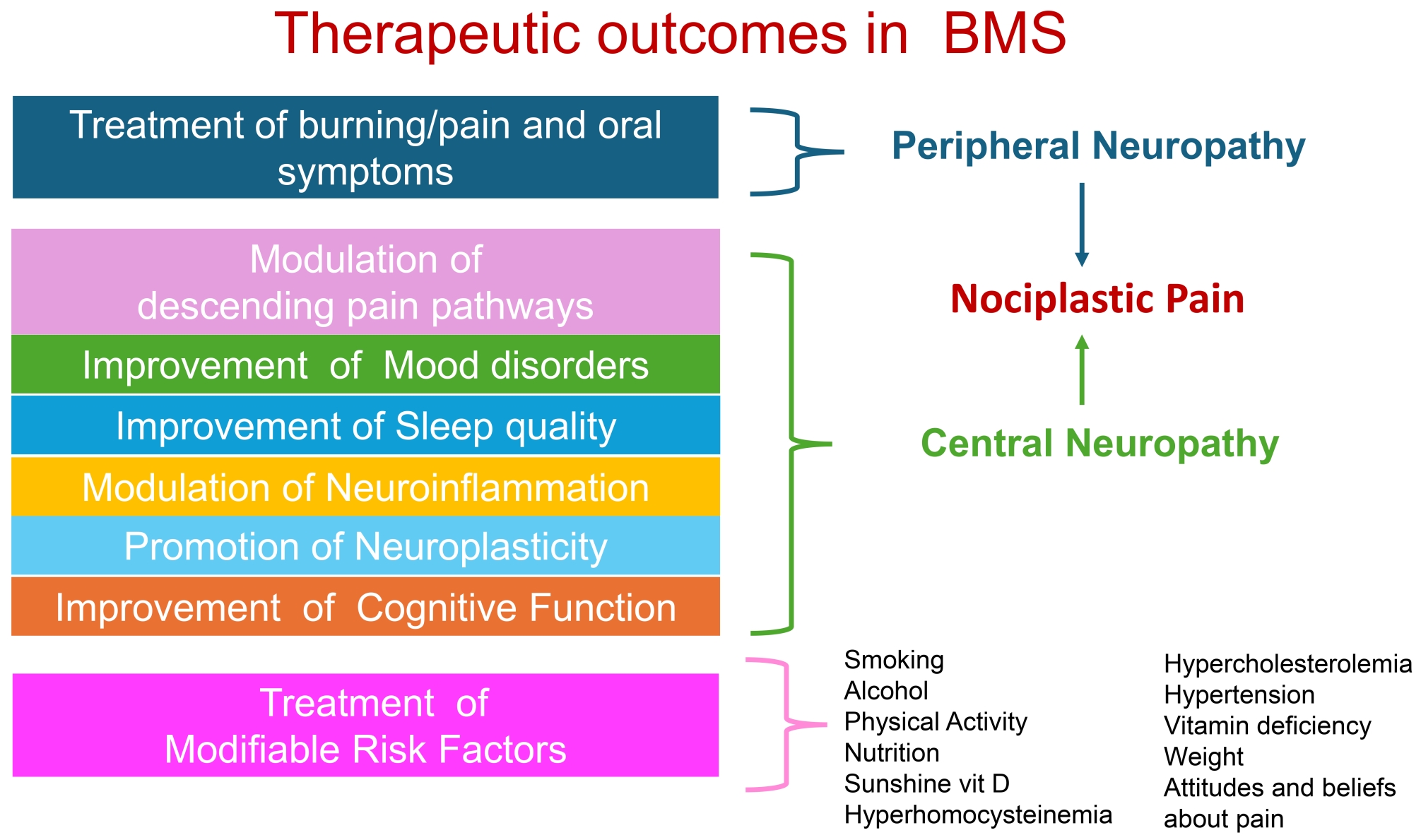 Therapeutic outcomes in BMS. To achieve full functional 
recovery (FFR), treatment must address both peripheral and central neuropathy. 
This includes managing oral symptoms, improving sleep quality, treating mood 
disorders and cognitive impairment, and addressing modifiable risk factors, such 
as smoking, alcohol consumption, physical activity, nutrition, vitamin 
deficiencies, and attitudes about pain. BMS: Burning Mouth Syndrome.