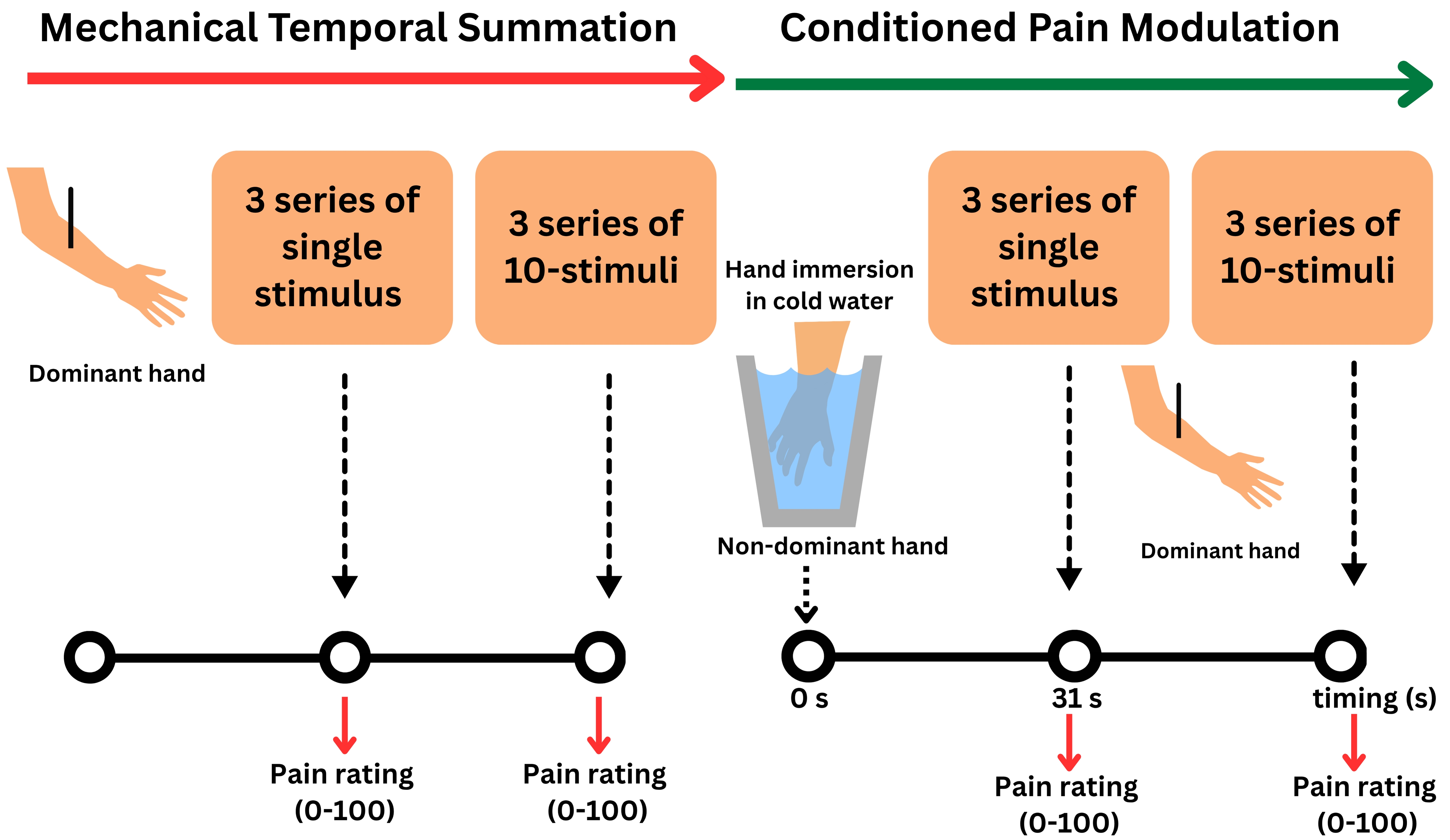 Overview of mechanical temporal summation and conditioned pain 
modulation protocol.