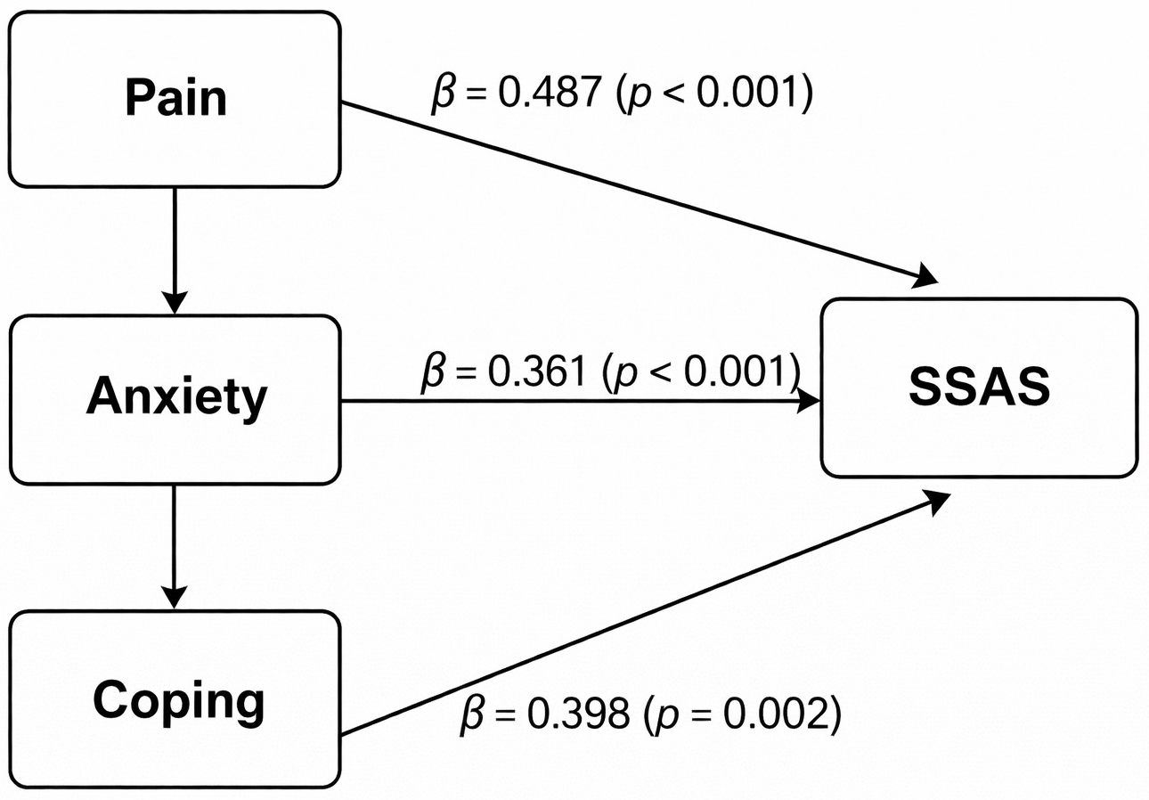 Path diagram showing the associations between pain intensity,
anxiety, coping strategies, and somatosensory amplification (SSAS) in patients
with temporomandibular disorders (TMDs).