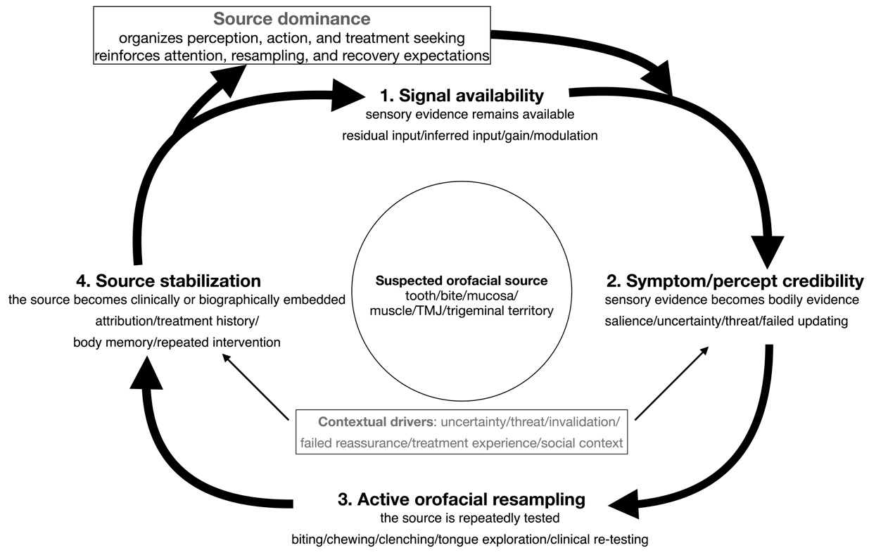 Proposed source-bound maintenance loop. The four process steps
interact around a suspected source and may give rise to source dominance. TMJ:
temporomandibular joint.